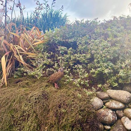 Wild Weka Eco Stay - Off-Grid 4Wd Recommended Waimarie Extérieur photo