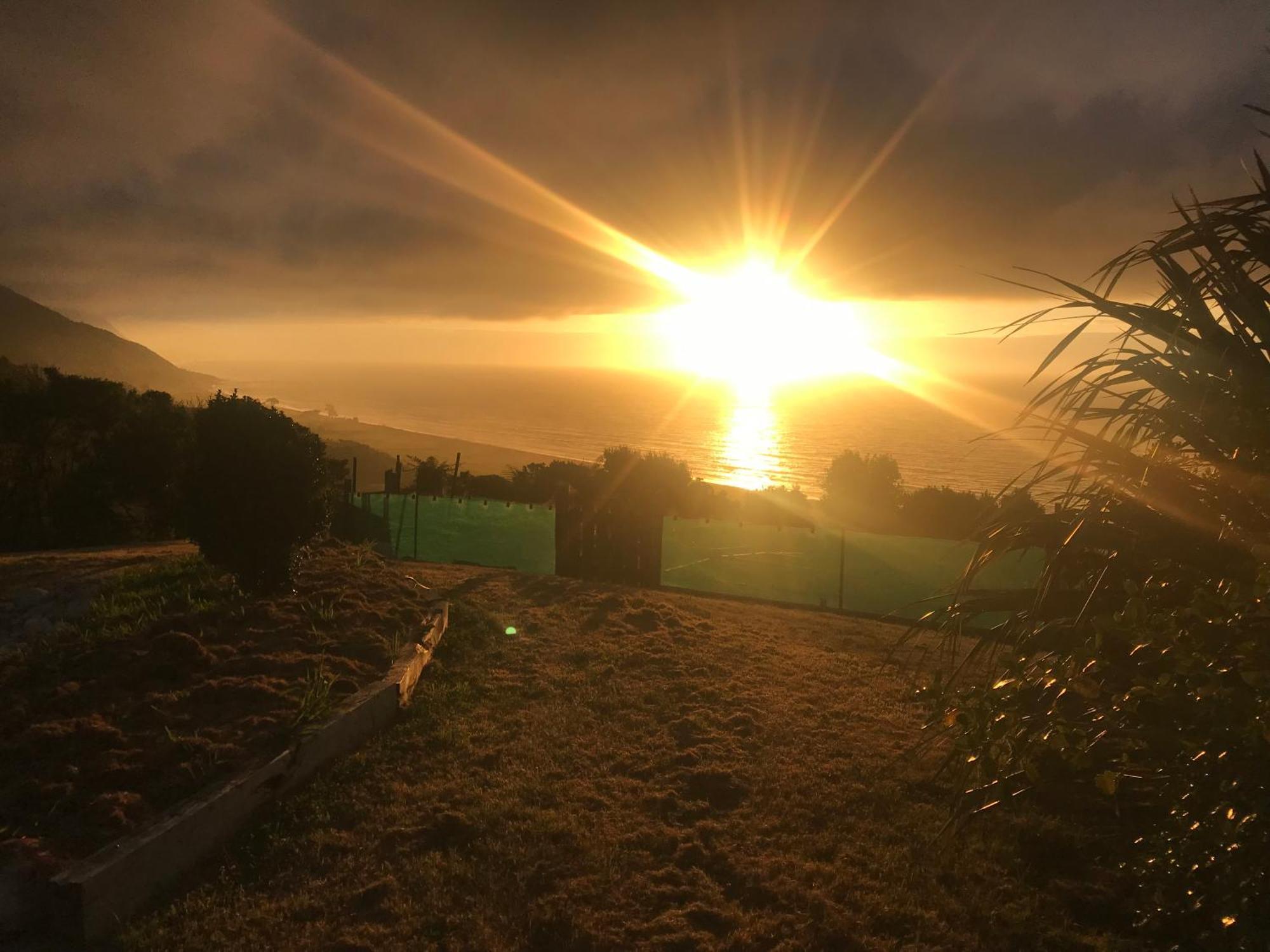 Wild Weka Eco Stay - Off-Grid 4Wd Recommended Waimarie Extérieur photo